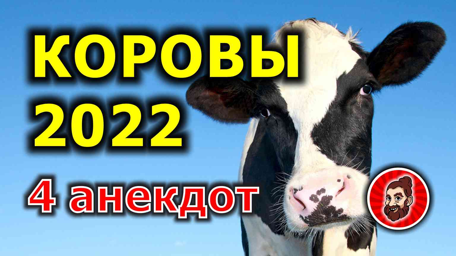 Коровы 2022